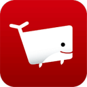 马斯克询问网友：特斯拉向xAI投50亿美元行不行